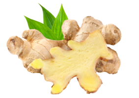 Dioxic- Nicotine Breaker